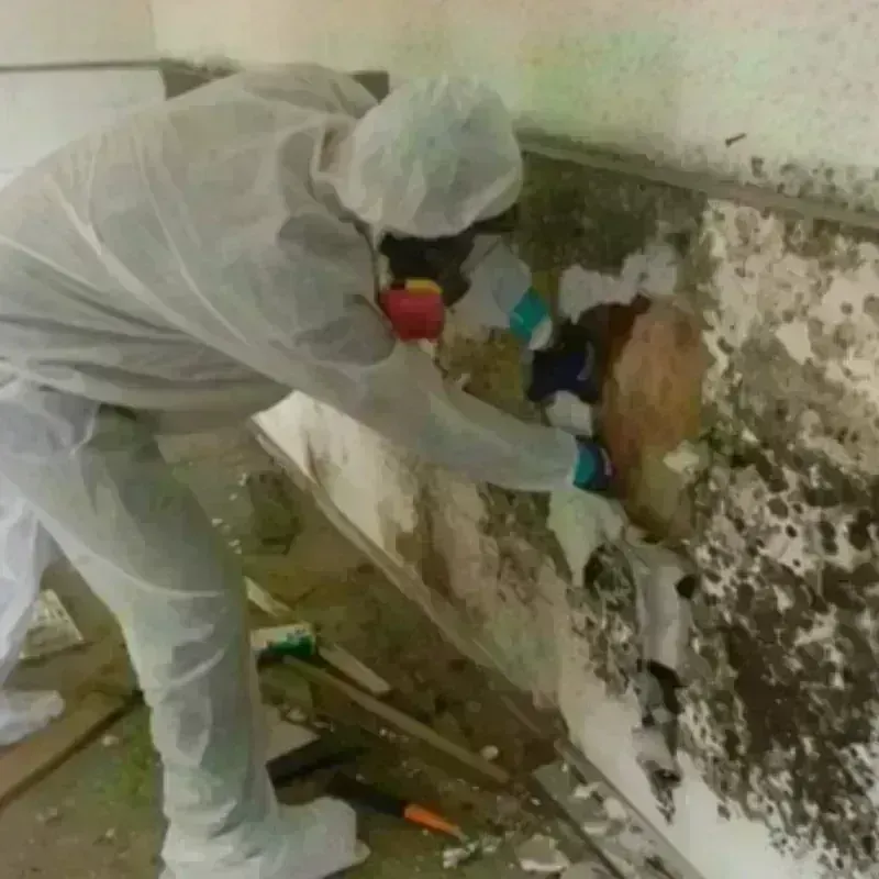 Mold Remediation and Removal in Oak Hill, FL