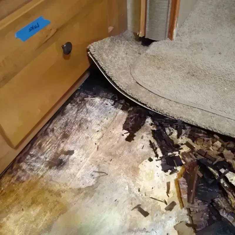 Best Wood Floor Water Damage Service in Oak Hill, FL